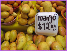 mangoes in mexico